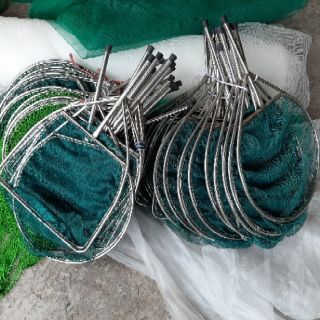 Vợt cá giống