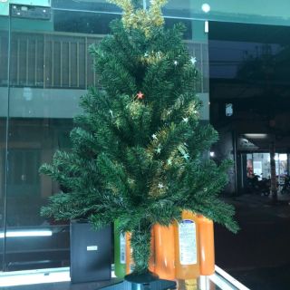 Cây thông Noel chiều cao 60cm(Full phụ kiện)