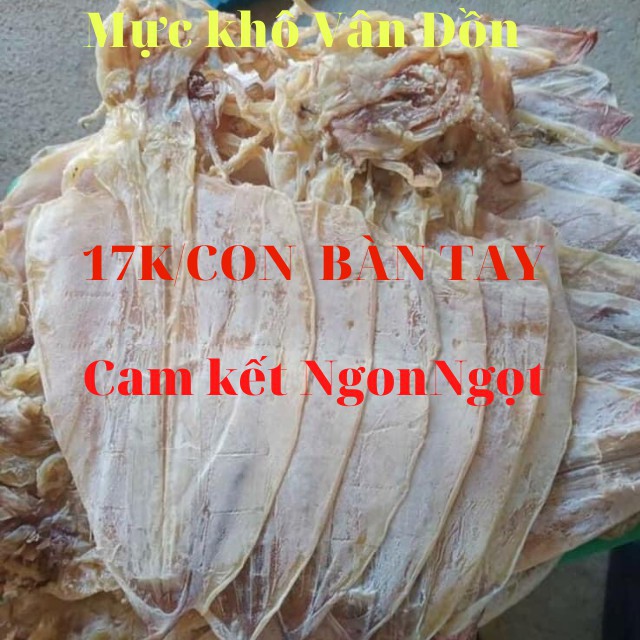 [ Cực Ngọt ] 5 Con Mực Câu Khô To Bàn Tay, Y Hình