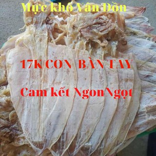 [Cực Ngọt - Mua 2 tặng quà ] 5 Con Mực Câu Khô Vân Đồn To Bàn Tay, Y Hình