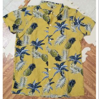 (Lẻ=sỉ)Áo sơ mi hoa quả đi biển chất tơ đũi
