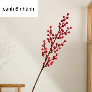 Cành đào đông đỏ