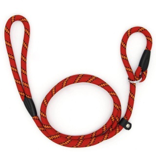 [LXPET] Dây dắt chó đi dạo bằng nylon