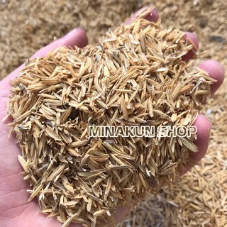 Vỏ trấu dùng trộn đất giá thể trồng cây hoa - MinaKun Shop