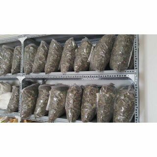 Combo 2kg ích mẫu, 1kg lá ngải cứu cho khách chất lượng giá rẻ