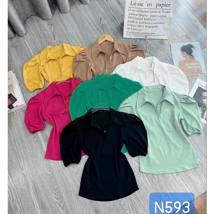 Áo thun borip tay phồng SL alohashop91