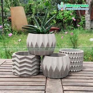 Chậu đá mài để bàn mini trồng cây 01