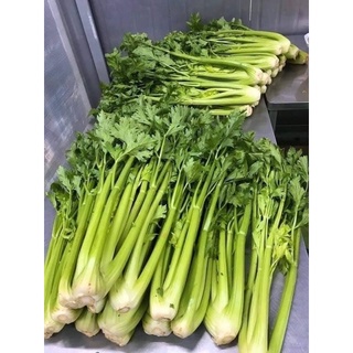 Bột cần tây nguyên chất 500g
