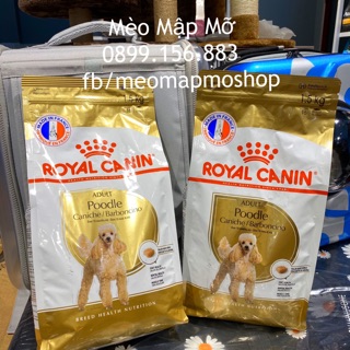 Royal canin thức ăn hạt cho chó poodle lớn trưởng thành adult