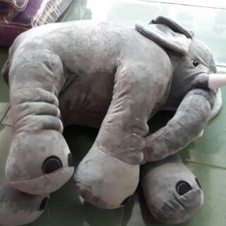Gấu voi