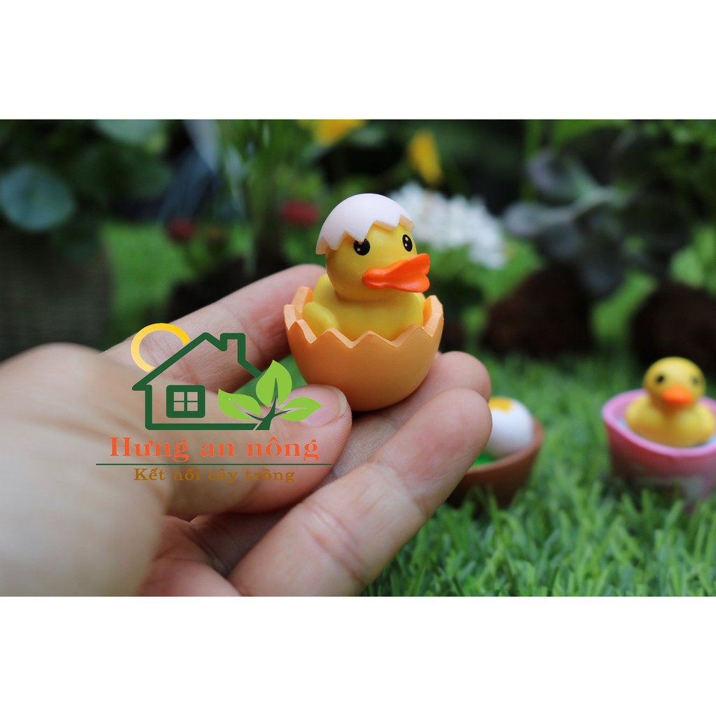 TT89 - Mô hình VỊT TRONG XÔ trang trí tiểu cảnh sen đá xương rồng cây để bàn