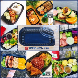 Hộp nhựa đựng cơm ht17 -100 hộp