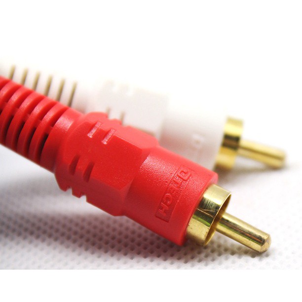 Cáp âm thanh Audio 2 đầu hoa sen nối 2 đầu hoa sen 2-2 10m Dtech DT-6204