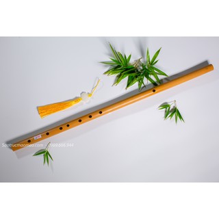 Sáo son trầm mão mèo