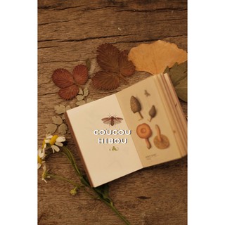 Mini Book: sổ lá cỏ 100 trang
