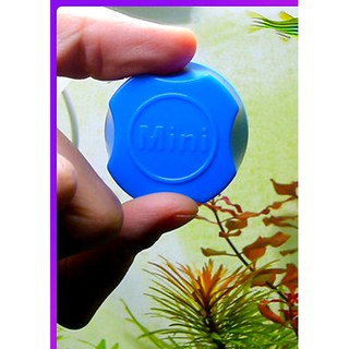 Chà Hồ Nam Châm Tròn Mini - Vệ Sinh Hồ Cá