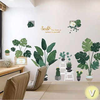 Decal dán tường Combo chậu cây size to