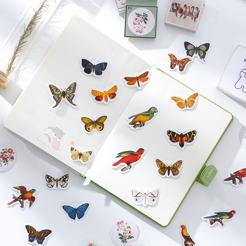 Hộp 46 miếng sticker dán chủ đề các loài bướm Box Sticker ST415