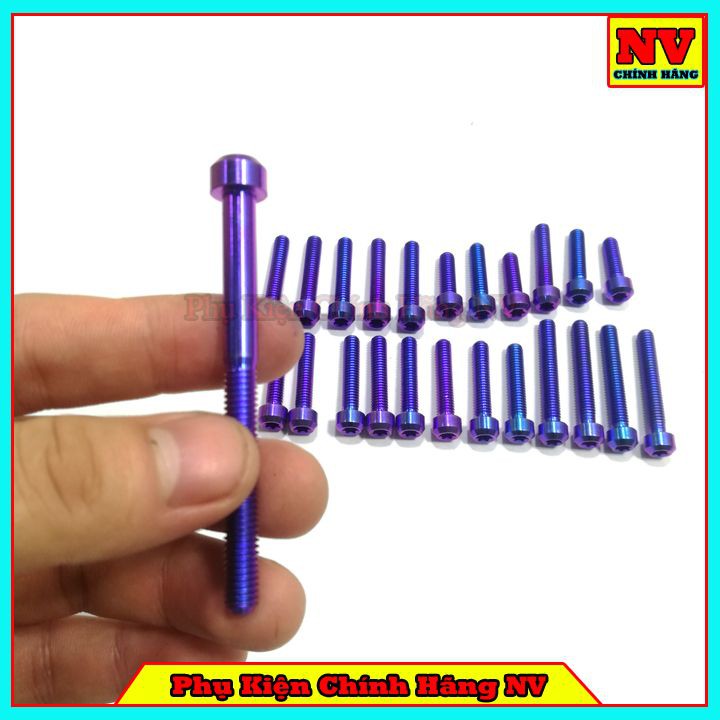 Bộ Ốc Lốc Máy Winner Gr5 Full Bộ 24 Con