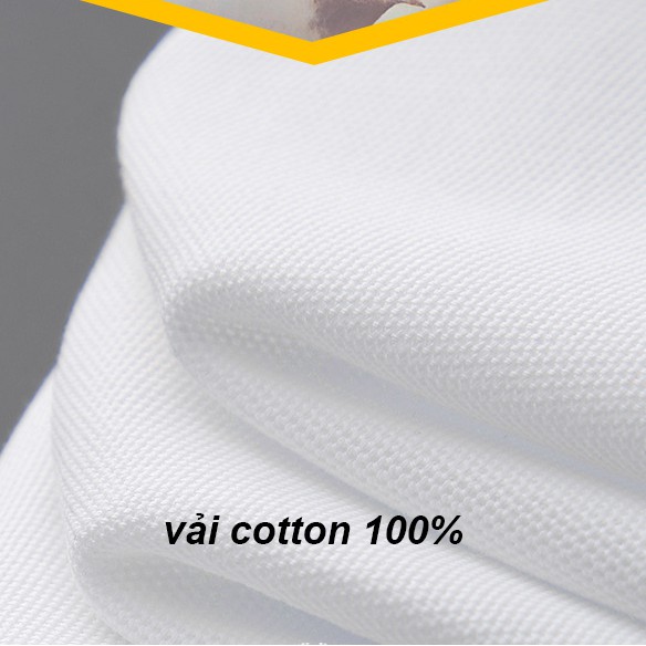 Áo polo nam vải cá sấu cotton mềm đẹp loại áo thun lacoste form trẻ trung CS1