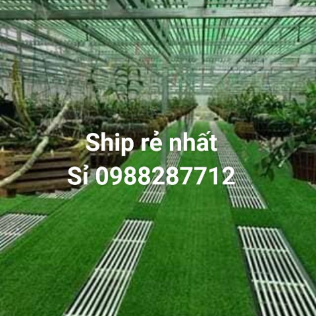 Thảm cỏ nhân tạo 2cm ship rẻ nhất