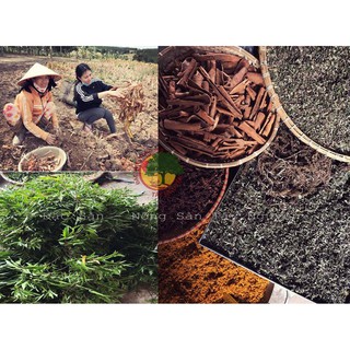 MUỐI THẢO DƯỢC NGÂM CHÂN
