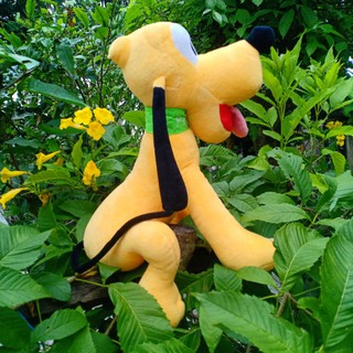 Gấu bông chó 35cm
