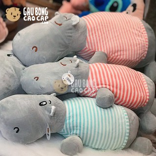 HÀ MÃ BÔNG LÔNG MỊN NẰM MẶC ÁO SỌC