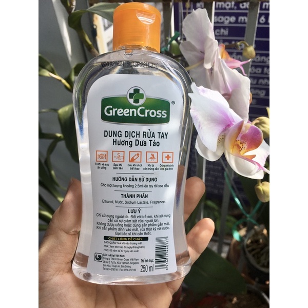 Nước rửa tay khô Green Cross 250ml Dưa Táo | BigBuy360 - bigbuy360.vn