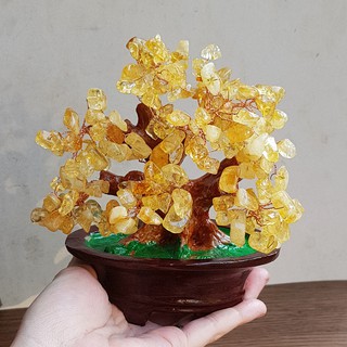 Cây Tài Lộc đá thiên nhiên size 16cm - đá vàng tự nhiên