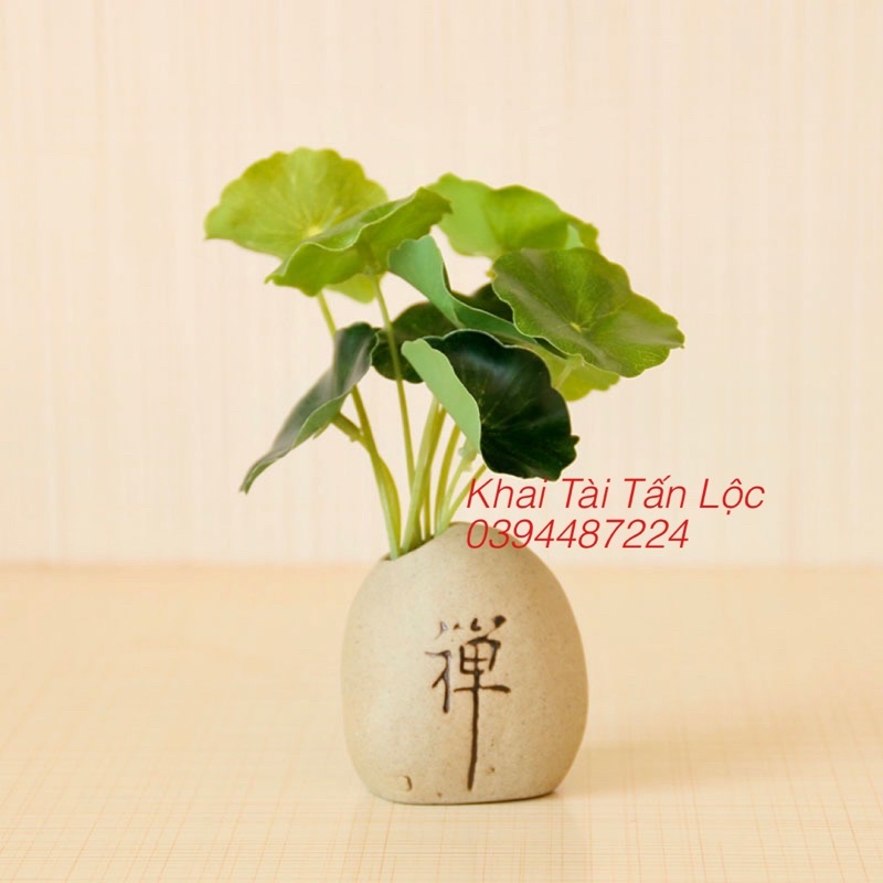 Bình hoa chữ Thiền tí hon bằng gốm tặng kèm 6 lá sen