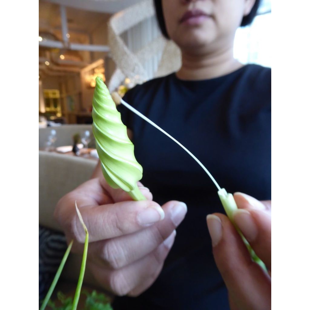 |HÀNG NHẬP KHẨU| Hạt giống hoa chomchan Thái Lan. Tặng kèm viên nén ươm hạt và kích rễ