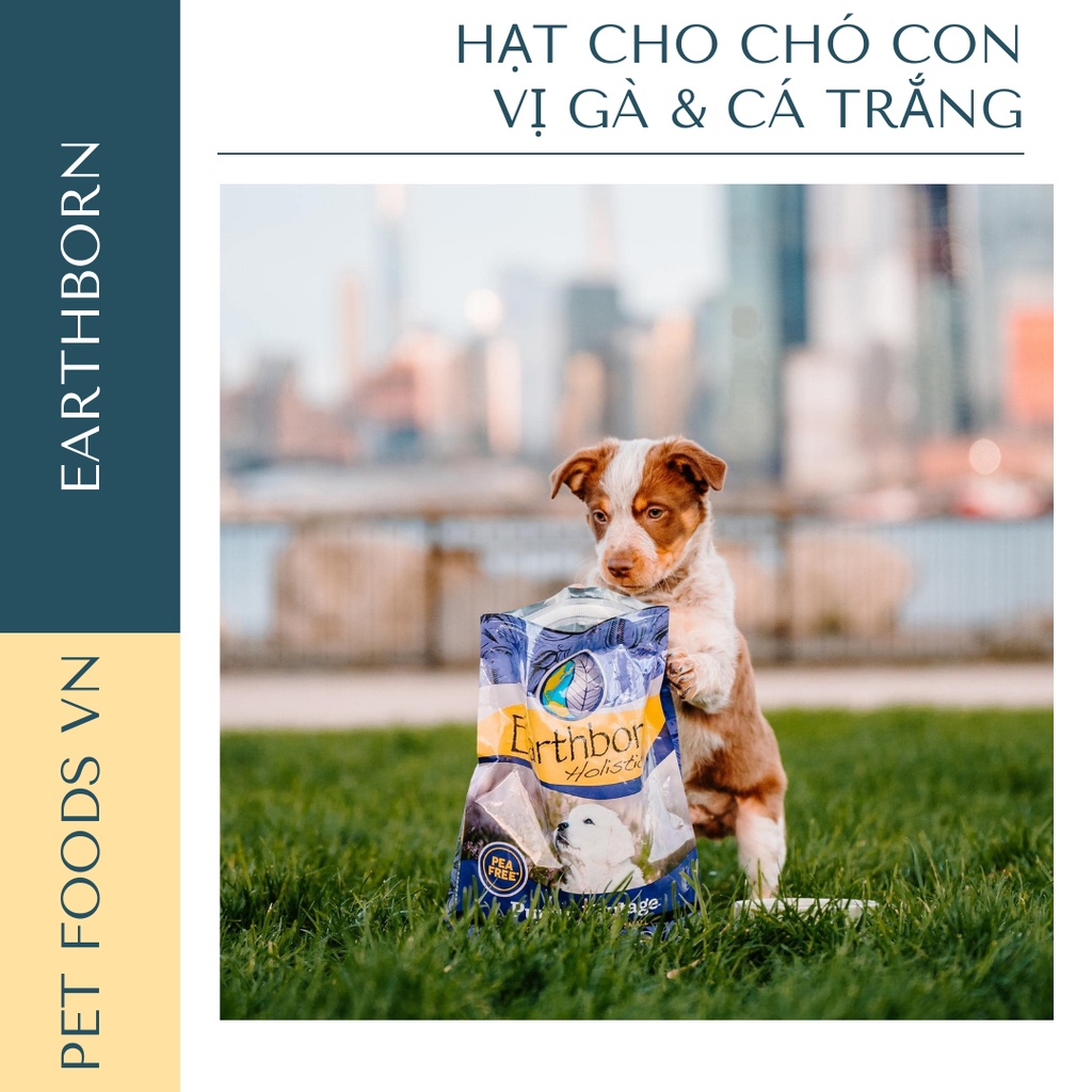 Hạt cho chó con EARTHBORN Puppy Vantage 2,5kg vị Cá Trắng &amp; Gà