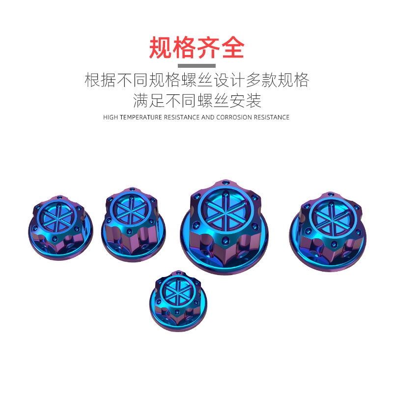 Set 30 Ốc Vít Titan Màu Xanh Dương Trang Trí Vỏ Xe Mô Tô