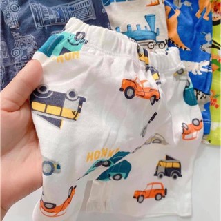 quần chục bozip