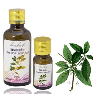 Tinh dầu long não Lam Hà
