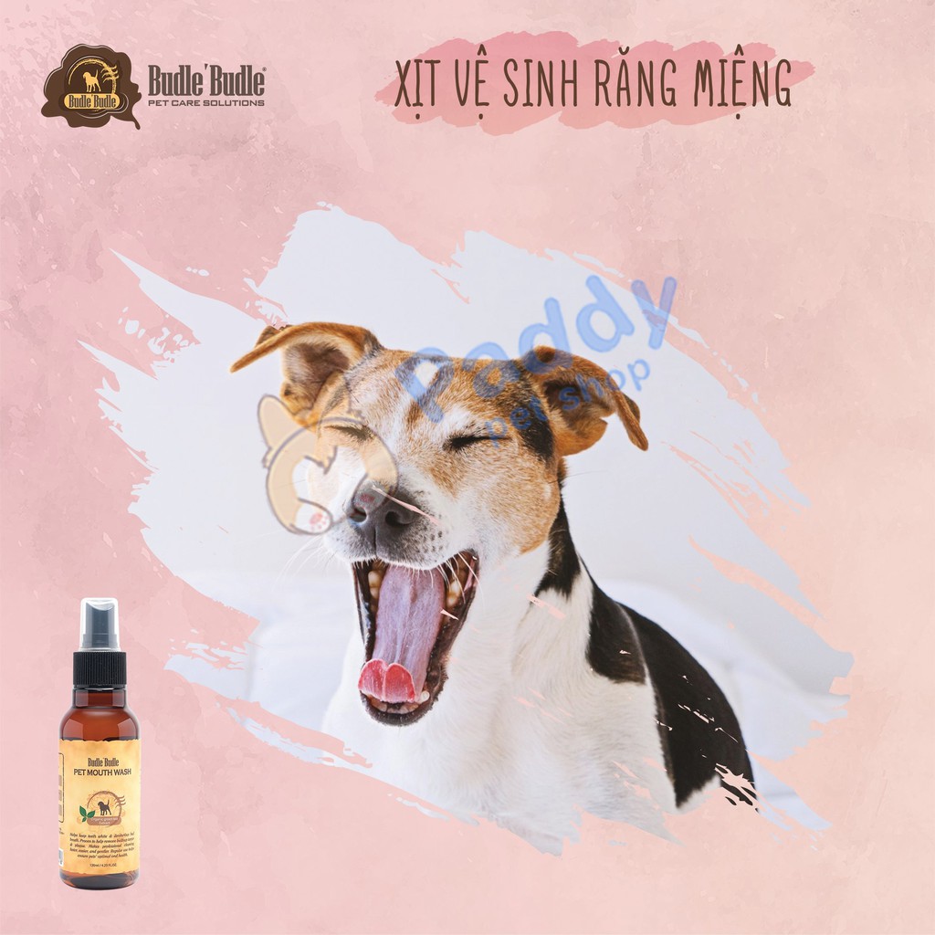 Xịt Budle Thơm Miệng &amp; Sạch Răng Chó (120ml)