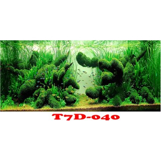 Tranh 3D bể cá mã T7D-040 kt (60,80,90,100,1m2,1m5,1m6)