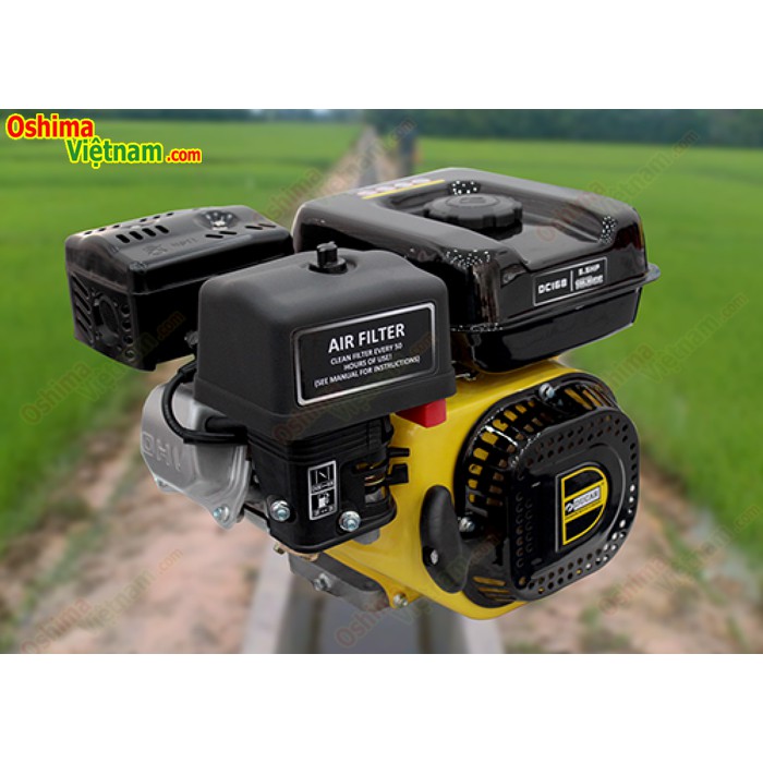 Động cơ nổ Ducar DC168 5.5HP