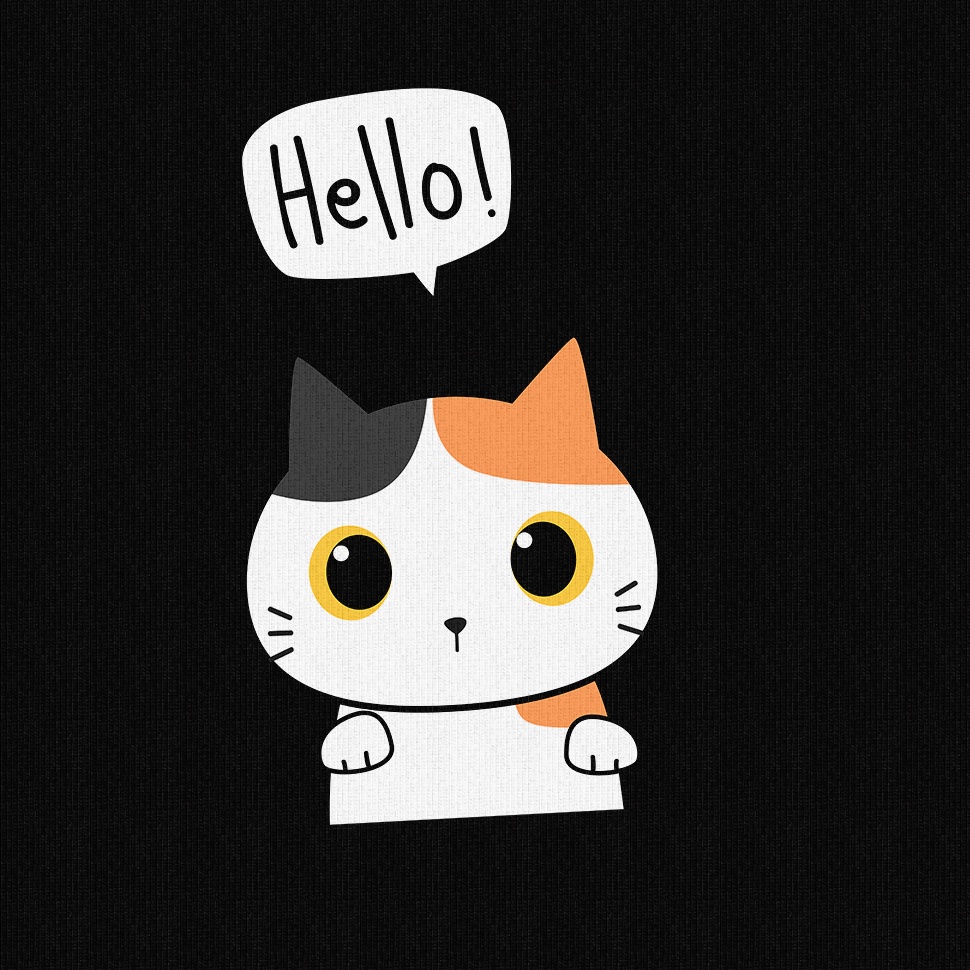 Áo Thun Tay Lỡ MYO Hello Kitty