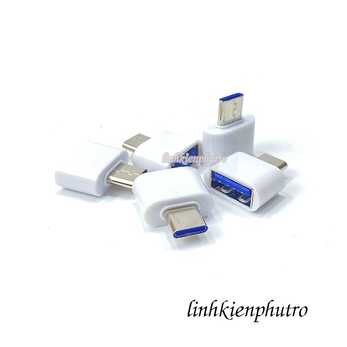 Đầu Chuyển OTG Jack Type C Sang USB 2.0