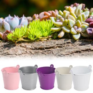 Chậu Hoa Mini Bằng Kim Loại