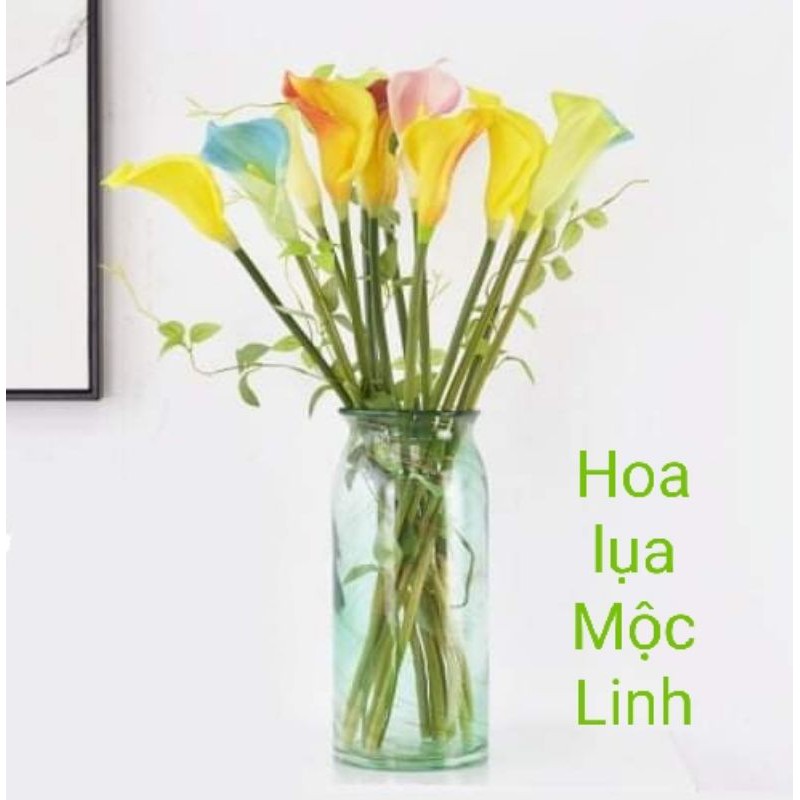 Hoa giả- hoa rum calla lily cao su cao cấp cành dài 70 cm siêu đẹp