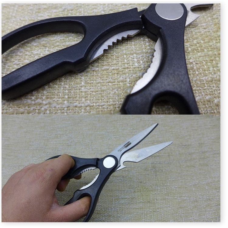 Kéo cắt Made in Japan