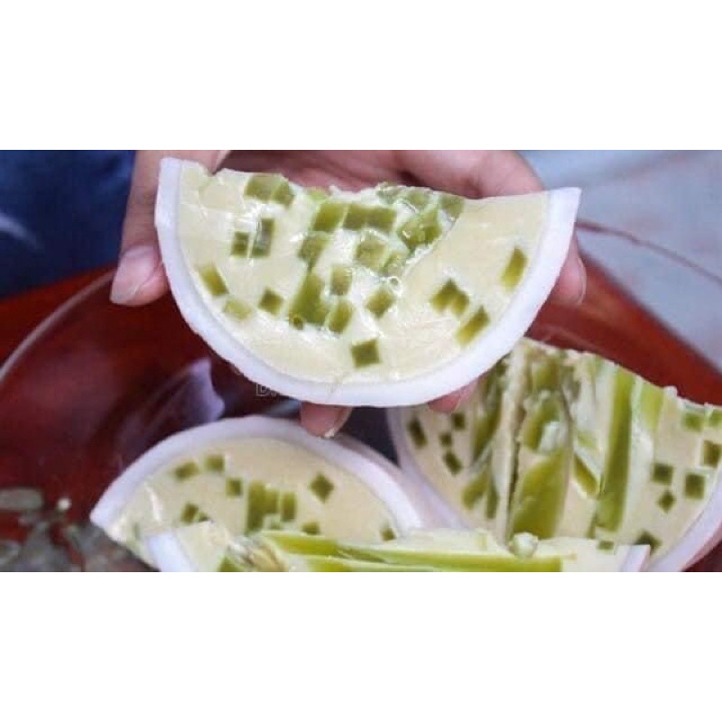 PLAN TRÁI DỪA THẠCH RÂU CÂU