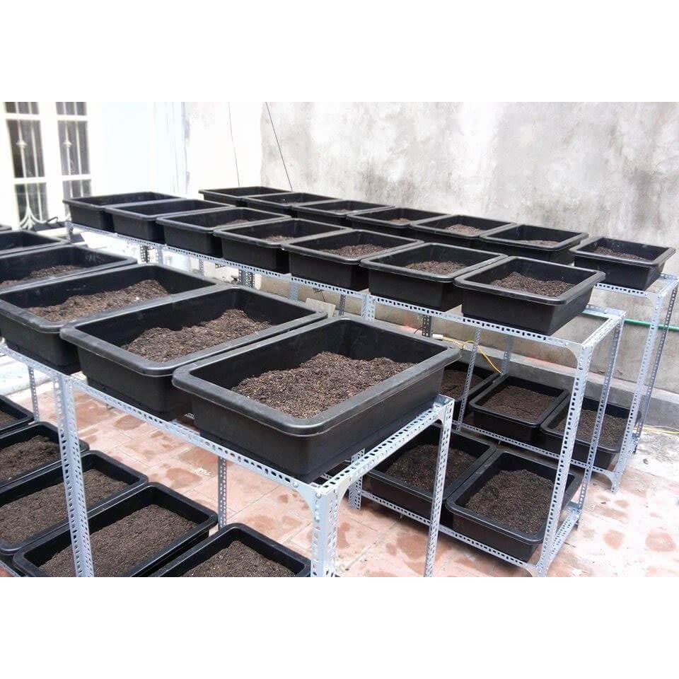 Khay trồng rau thông minh 65cm (kích thước 65 x 43 x 16cm) (Vườn Sài Gòn - Vuon Sai Gon)
