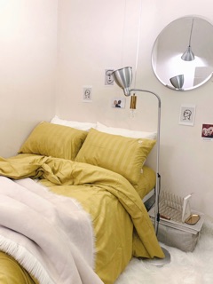 COTTON 3F cao cấp