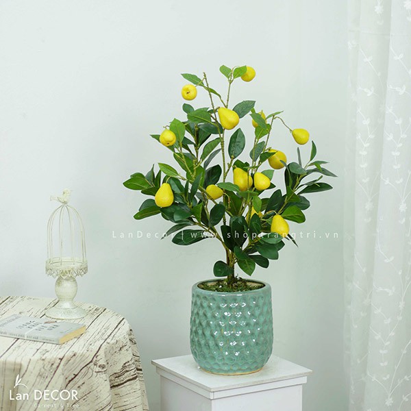 Cây giả - Cây chanh mỹ, đào, lê vàng, lê má hồng để bàn, trang trí tự nhiên như thật LanDecor | BigBuy360 - bigbuy360.vn