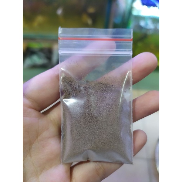 Trứng Artemia Mỹ/Thái Lan/ Trung Quốc (túi 5gr)