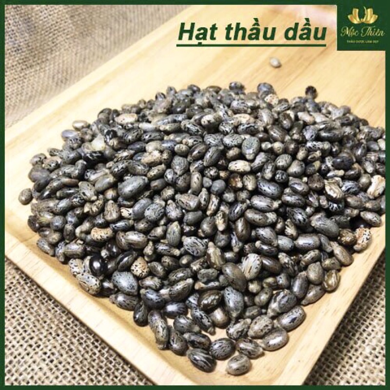 Hạt thầu dầu kích mọc tóc 100g